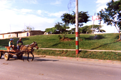 481-13.jpg