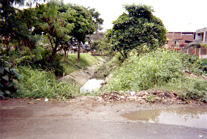 339-6.jpg