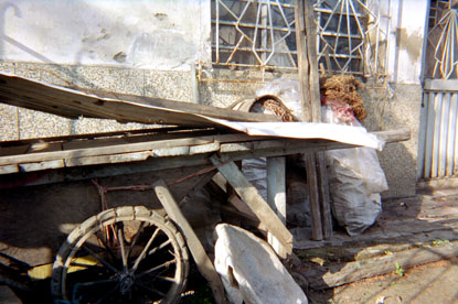 338-6.jpg