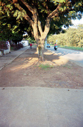 391-9.jpg