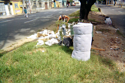 195-6.jpg
