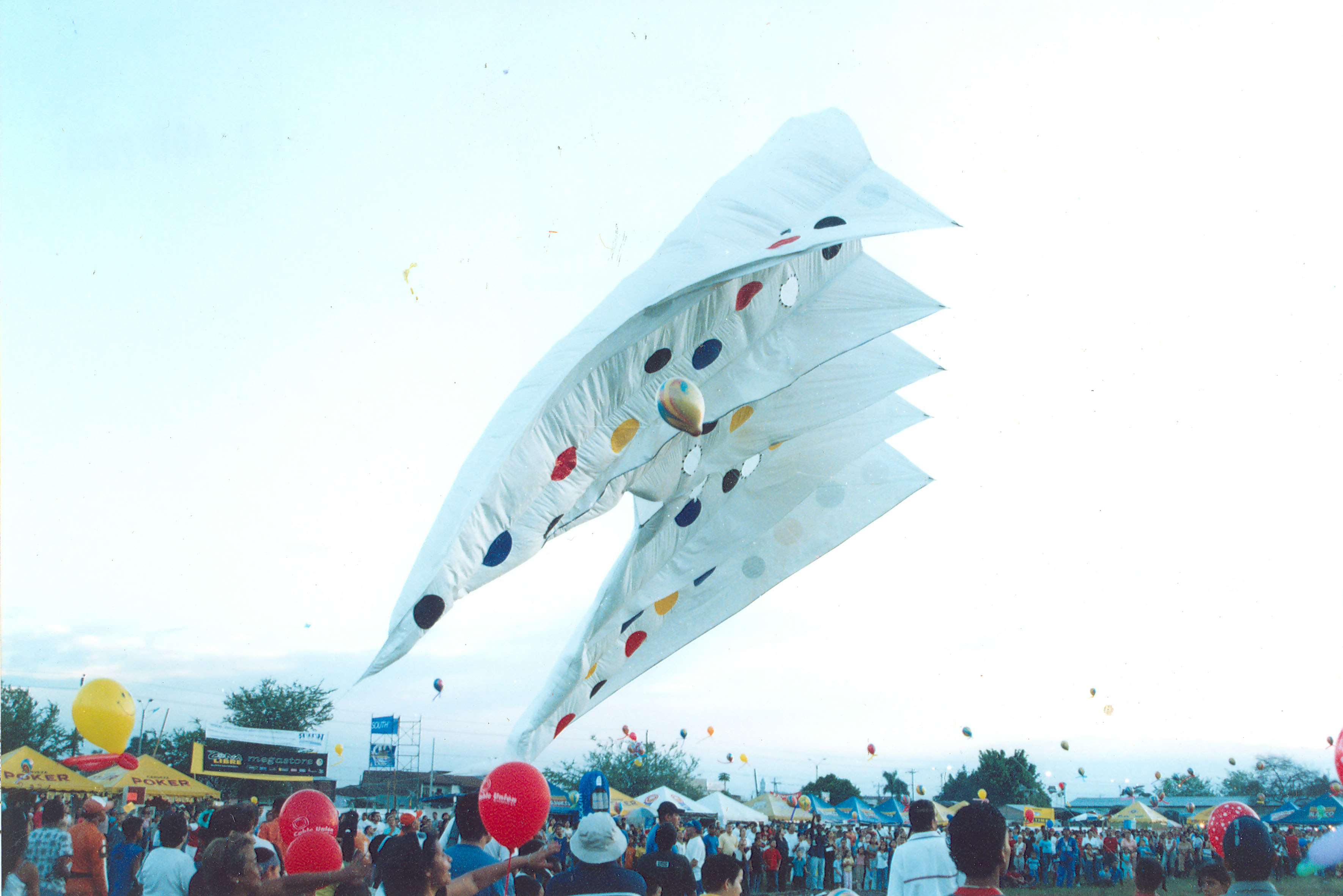 fdo00729.jpg