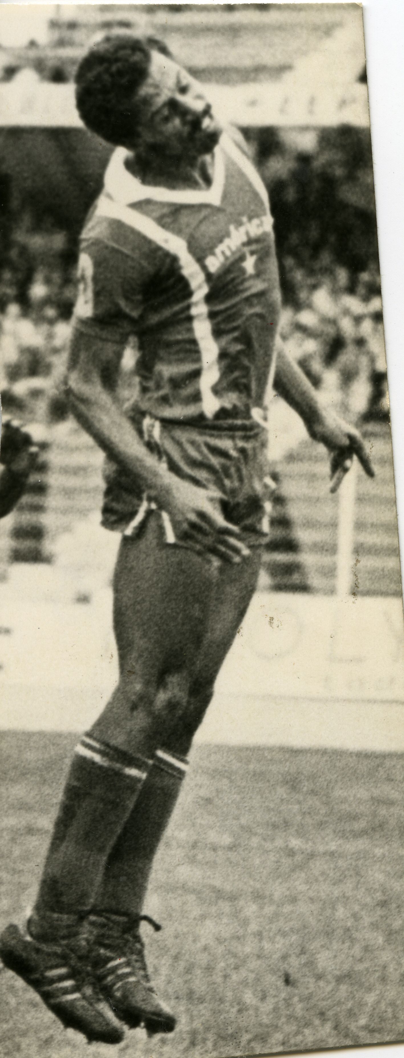 FDO019796.jpg