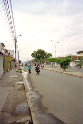 298-0.jpg