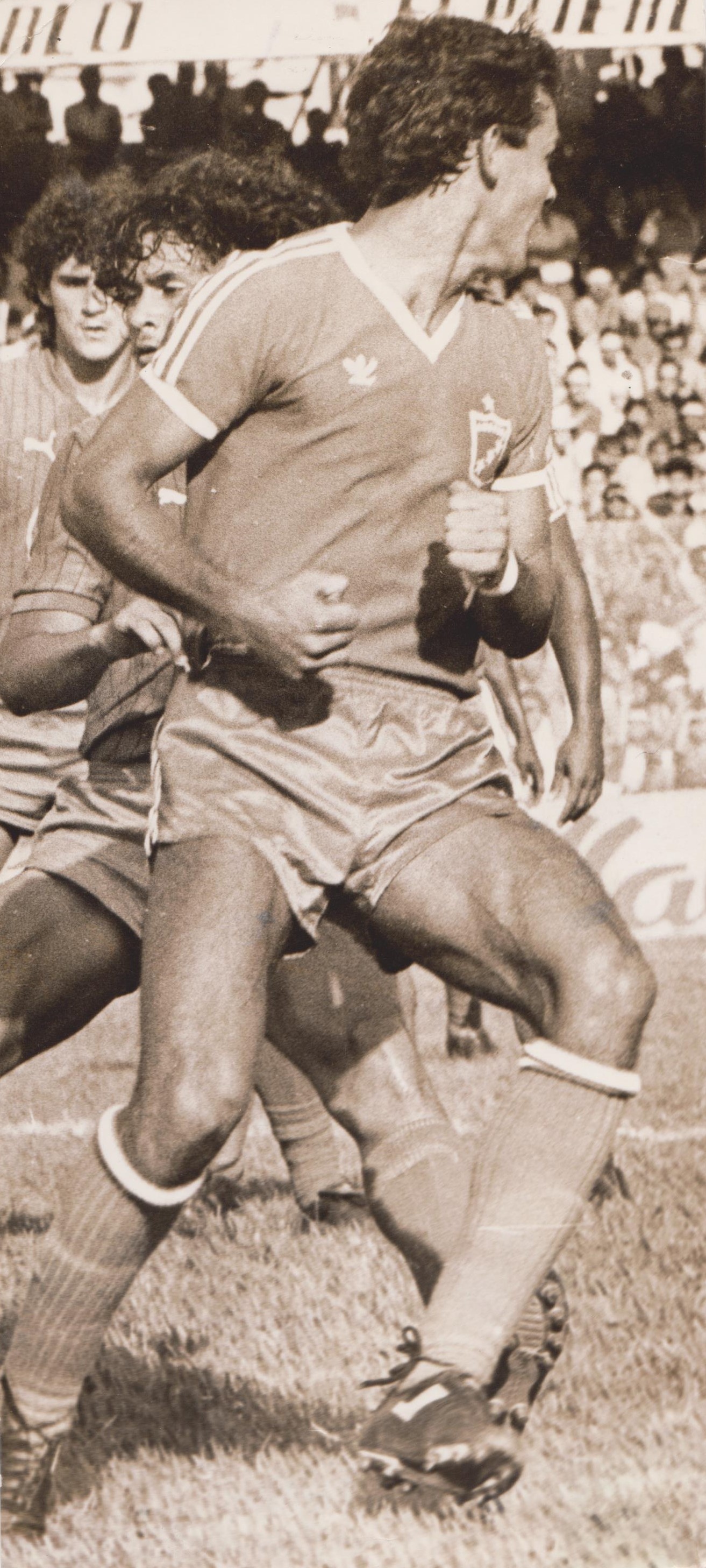 FDO021744.jpg