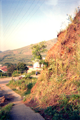 044-16.jpg