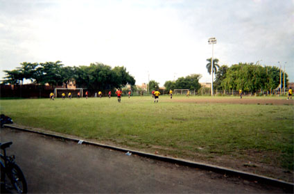 181-6.jpg
