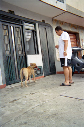 080-22.jpg