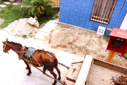 484-10.jpg