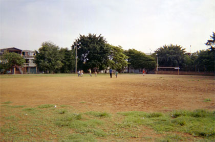 173-19.jpg