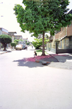 335-21.jpg