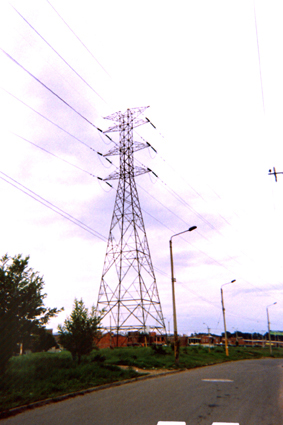 485-31.jpg