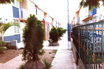479-27.jpg