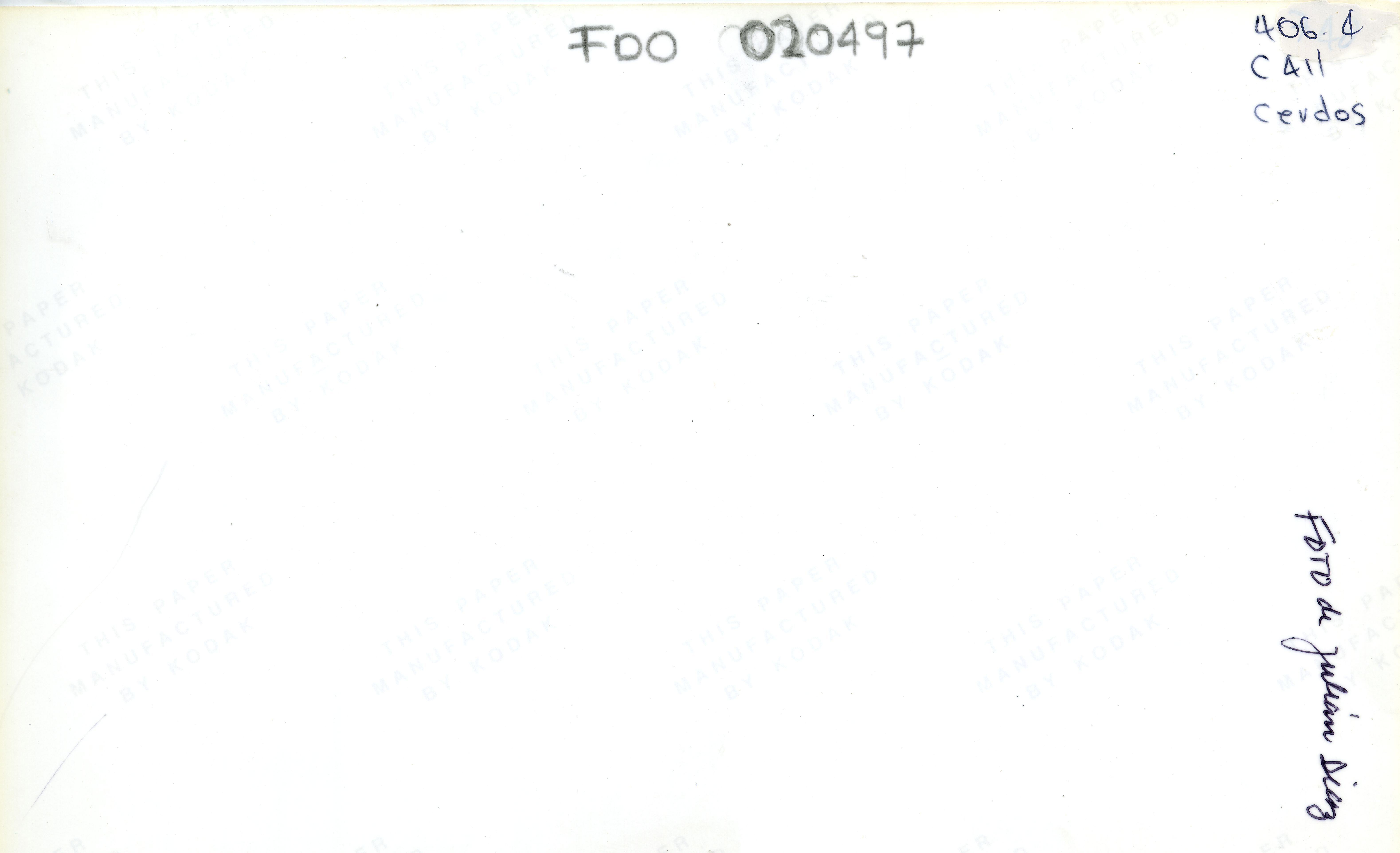 FDO020497A.jpg