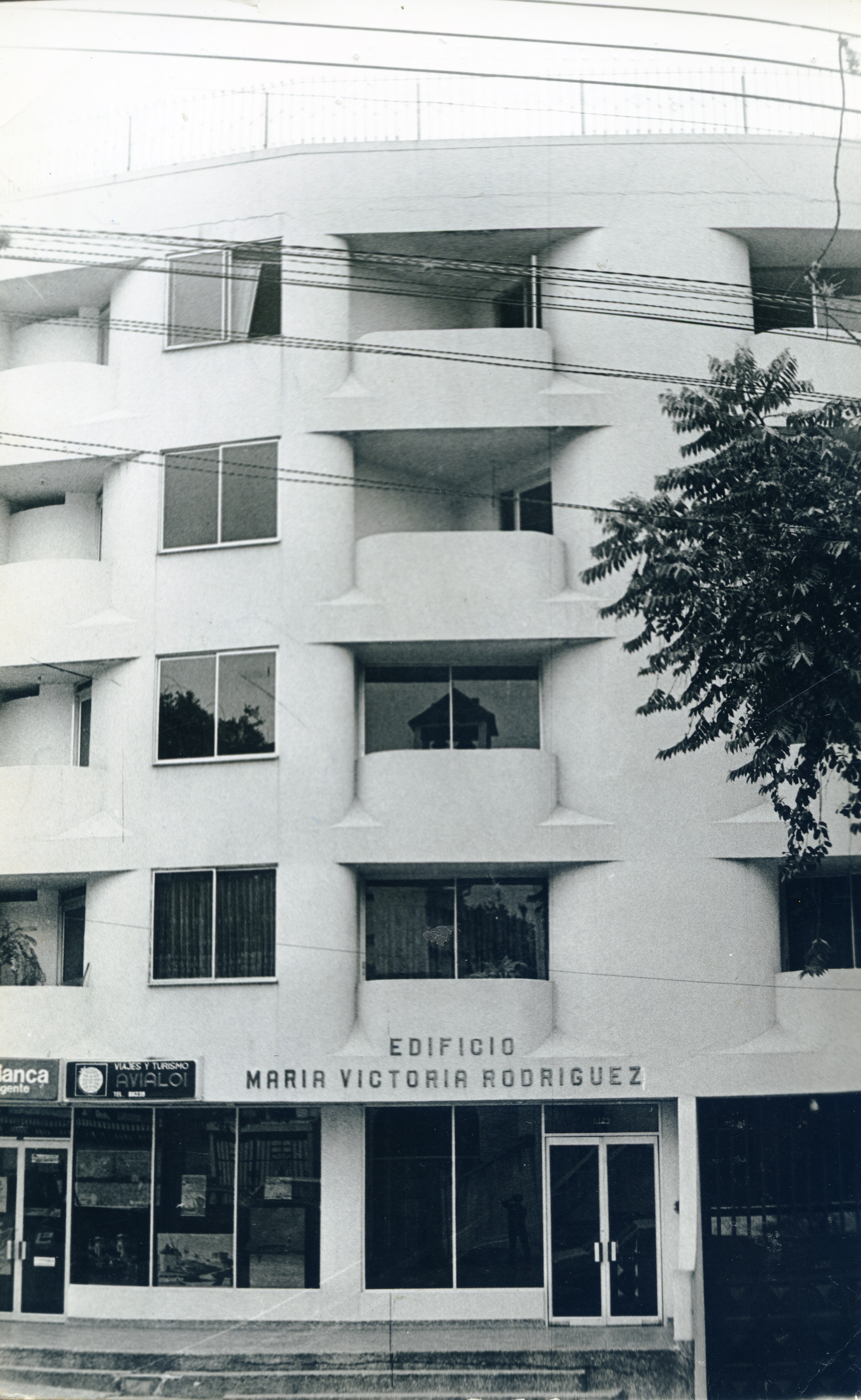 Fdo013541.jpg