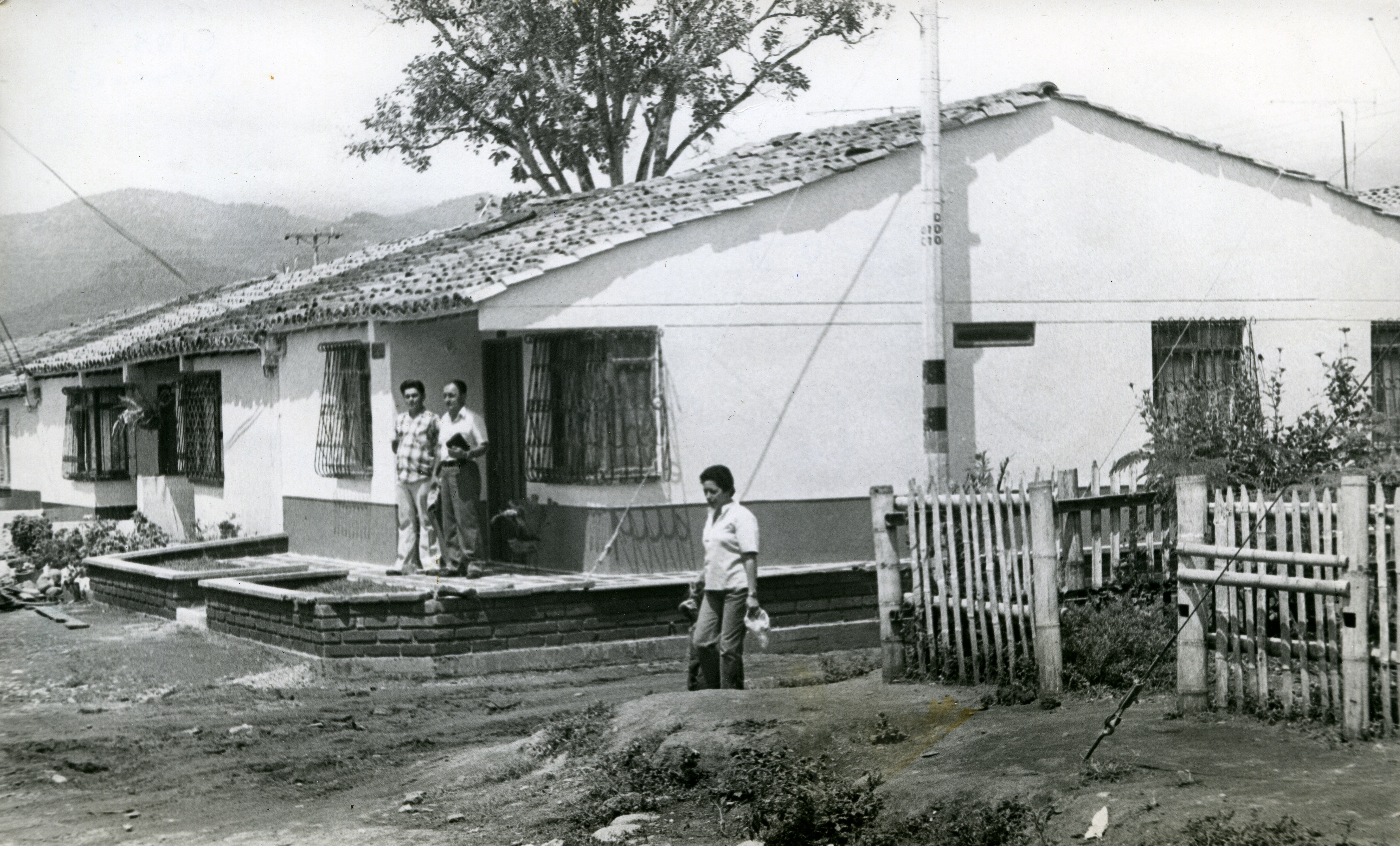 Fdo015780.jpg