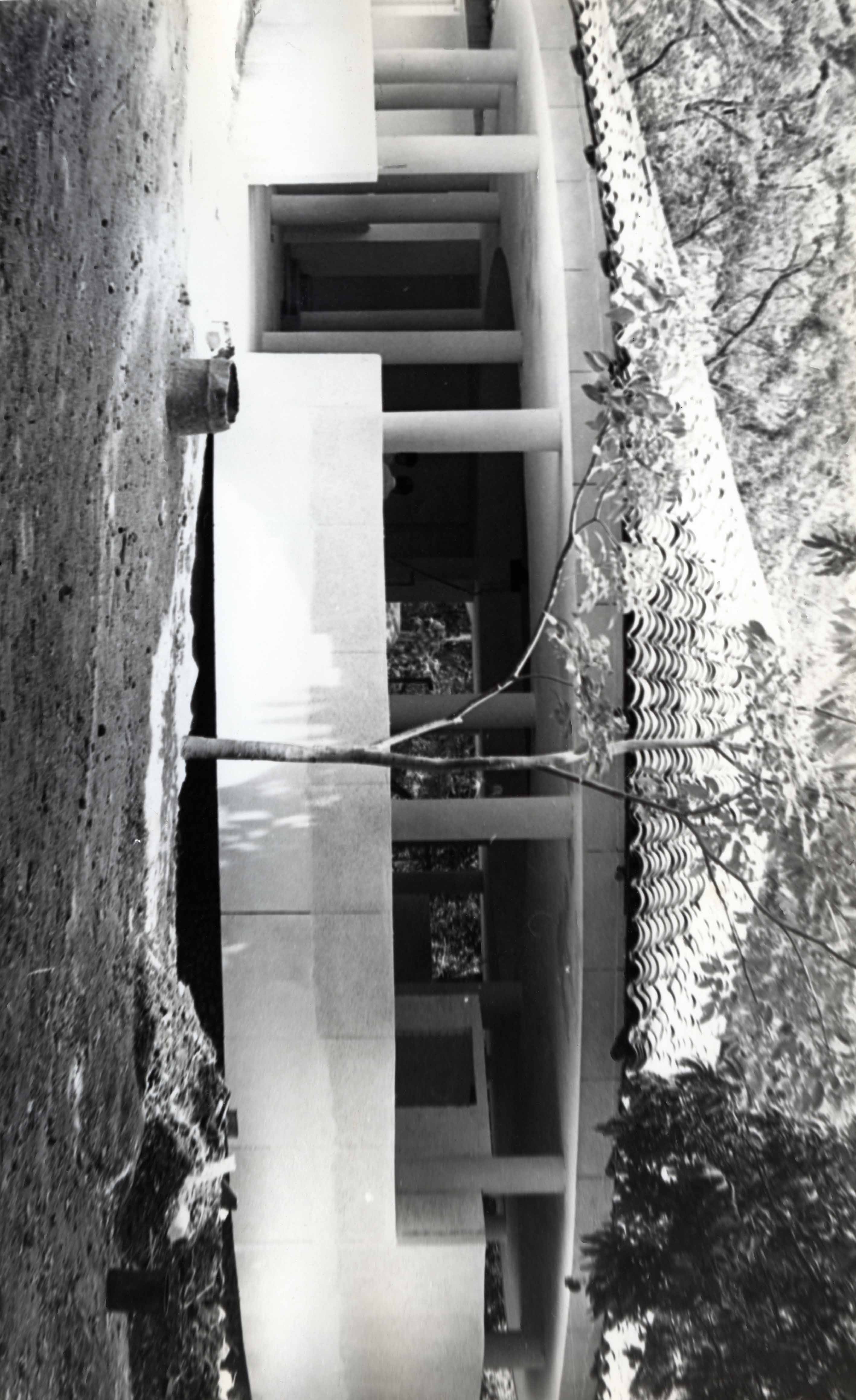 FDO05379.jpg