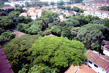 352-9.jpg