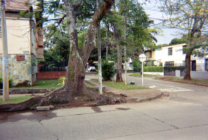 409-23.jpg