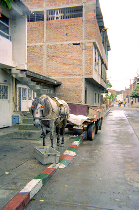 276-13.jpg