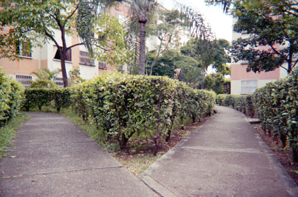 369-19.jpg