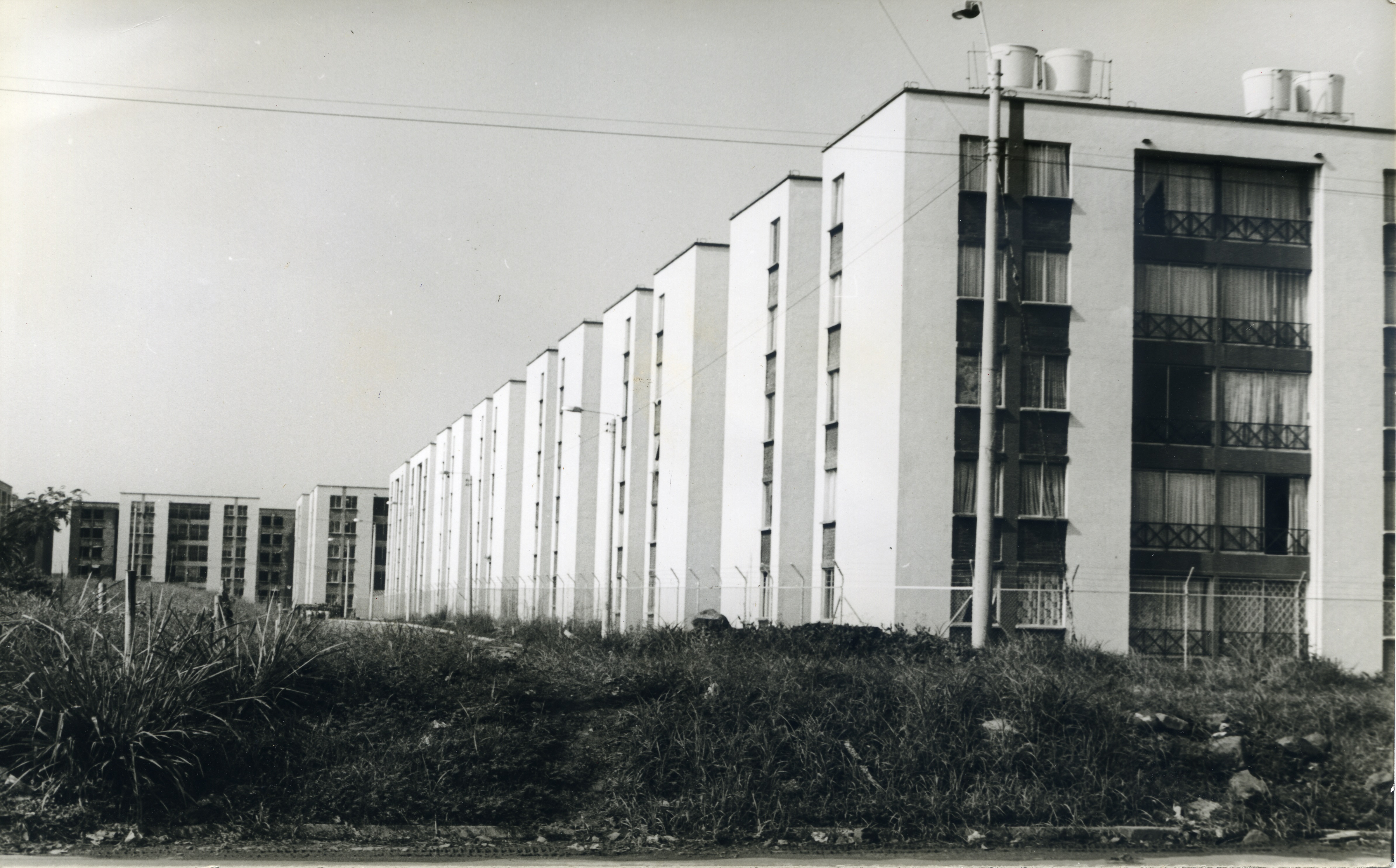 Fdo014157.jpg