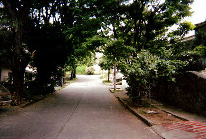 068-2.jpg