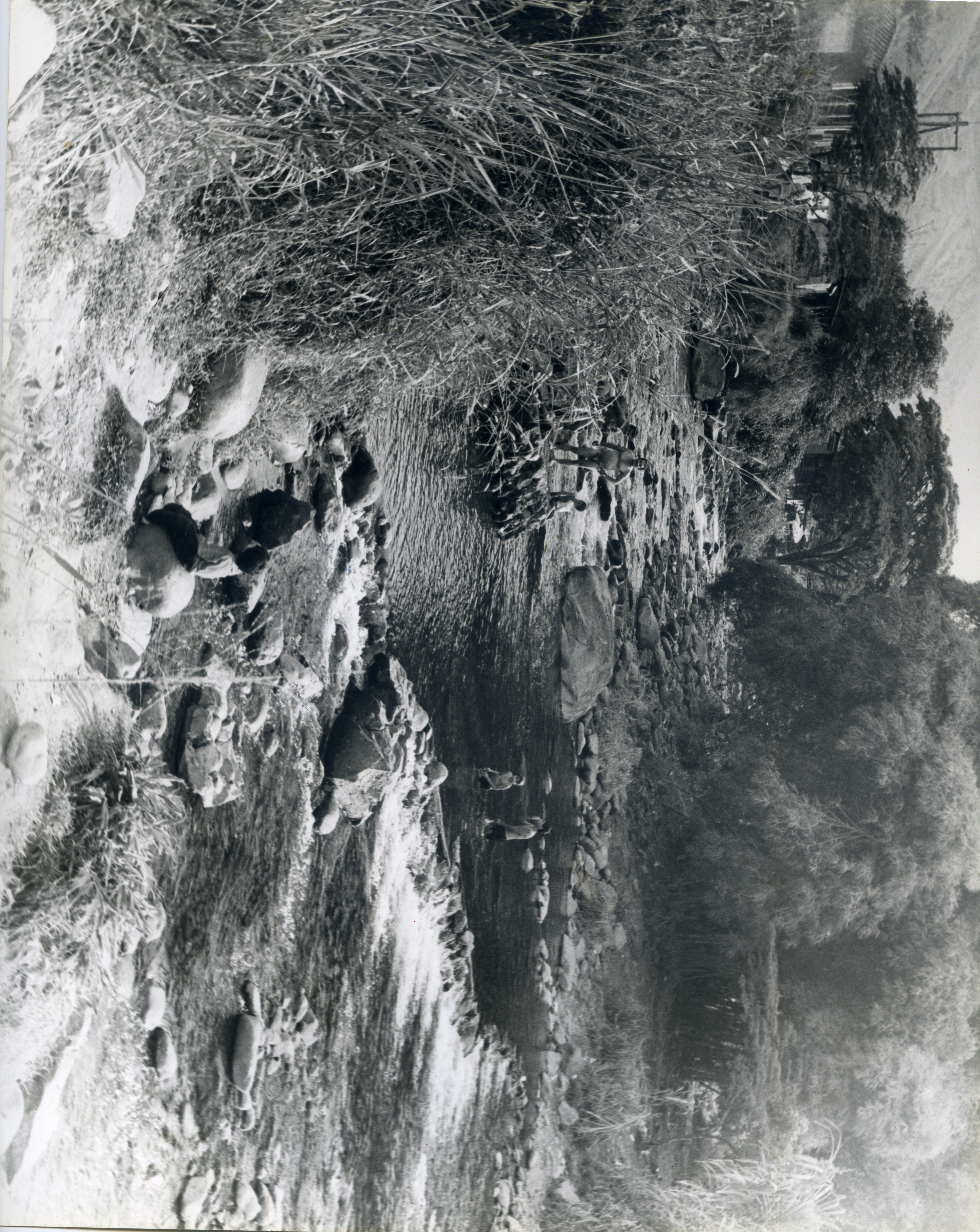 Fdo012606.jpg