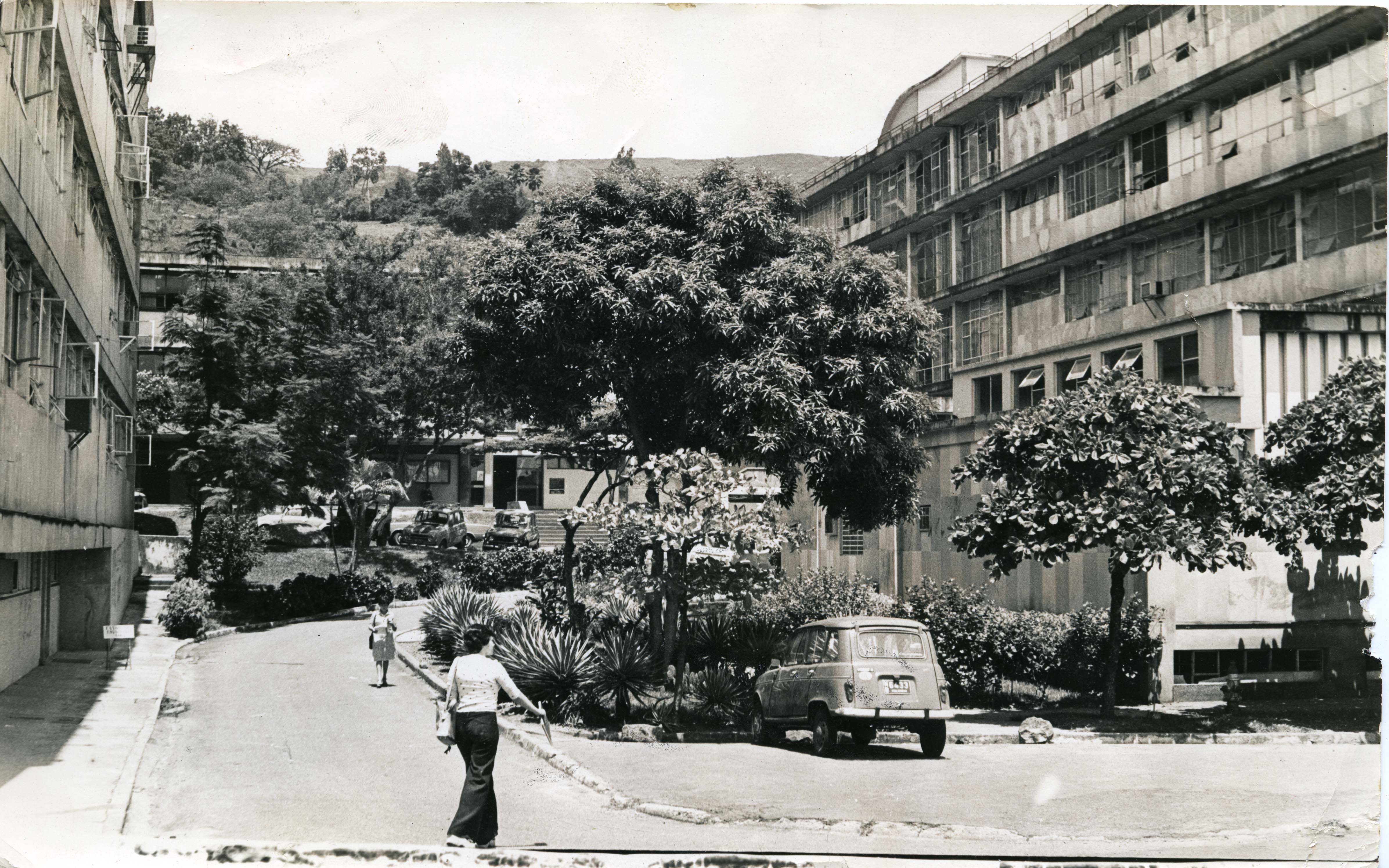Fdo013430.jpg