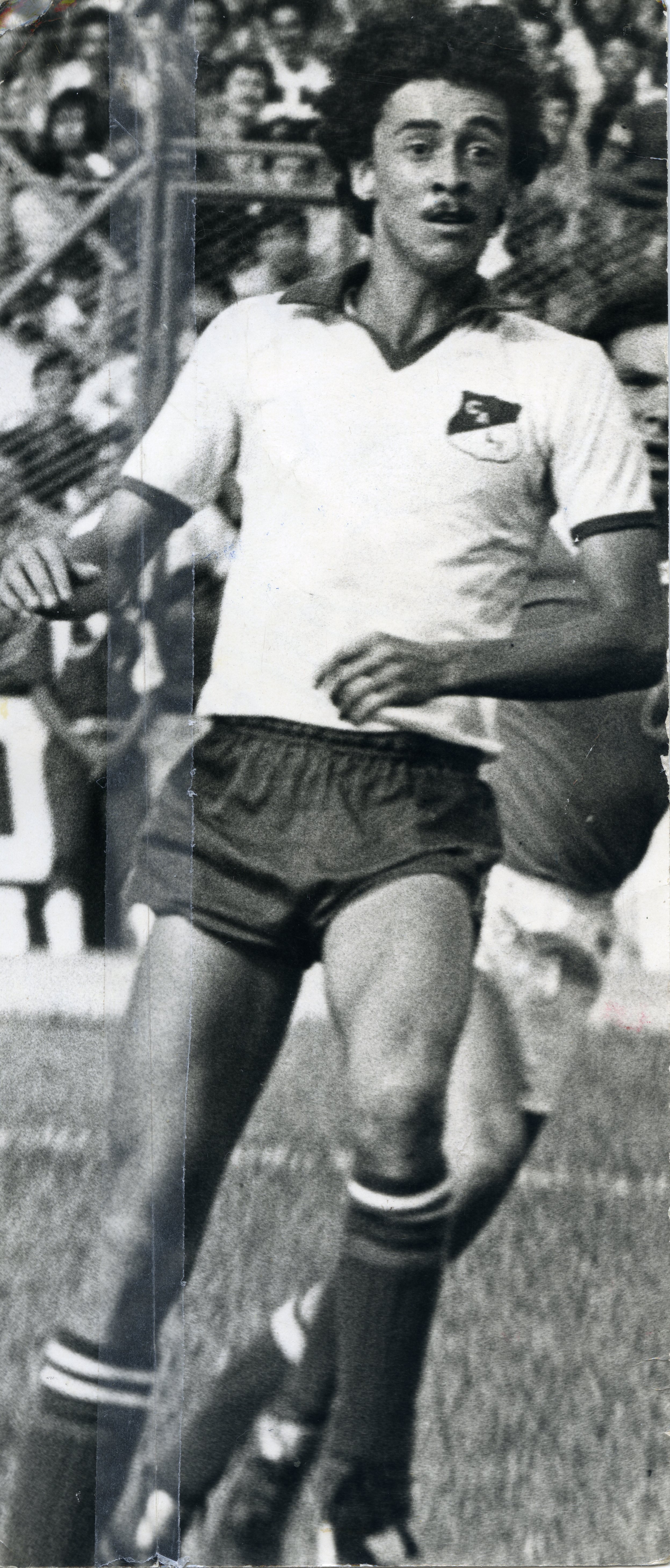 FDO018155.jpg