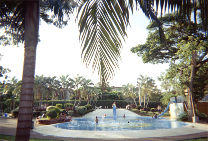 368-31.jpg