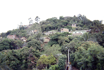 427-30.jpg