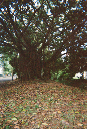 430-29.jpg