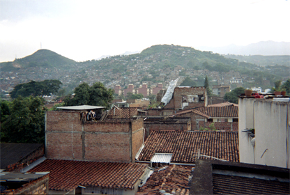 379-14.jpg