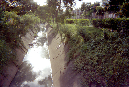 265-22.jpg