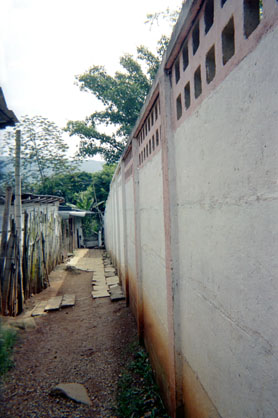 463-6.jpg