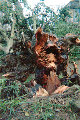 379-12.jpg