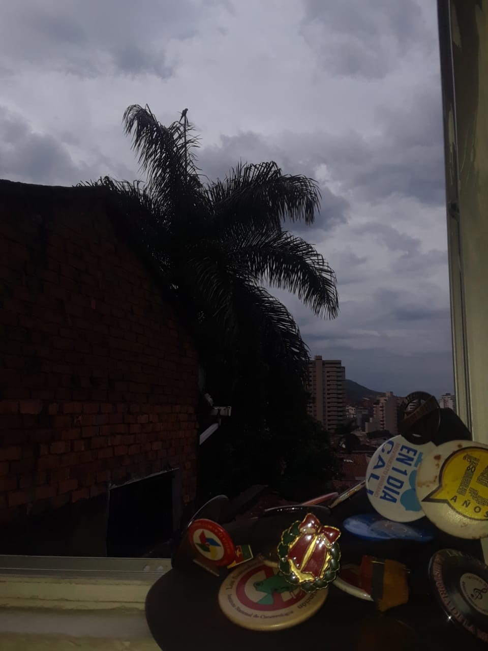 RFV000241.jpg