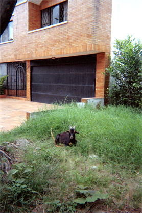 370-21.jpg
