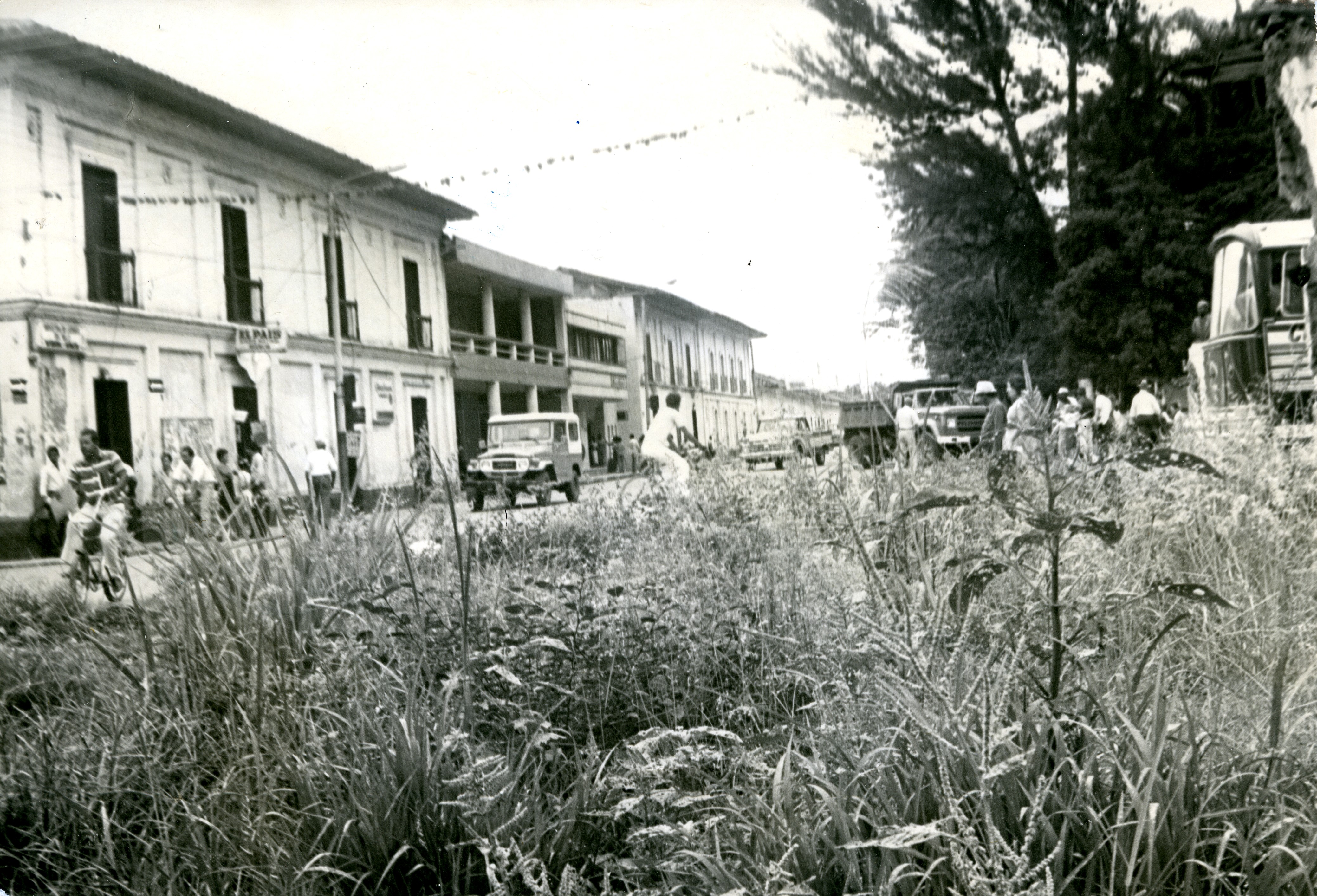 FDO015108.jpg