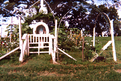 481-14.jpg