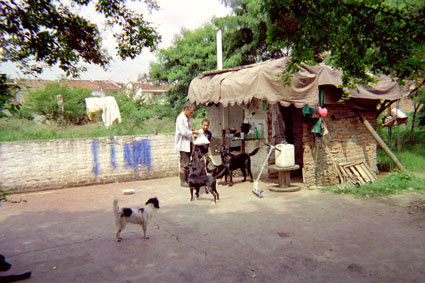 383-22.jpg