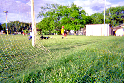 206-17.jpg
