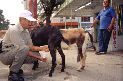 158-8.jpg
