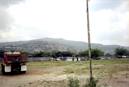 453-31.jpg