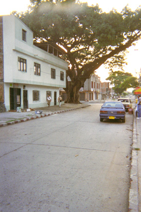 233-13.jpg