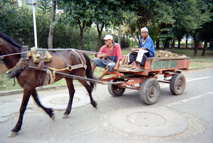 359-9.jpg