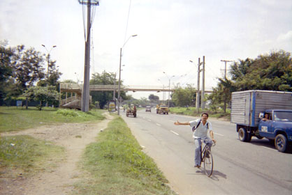 359-5.jpg