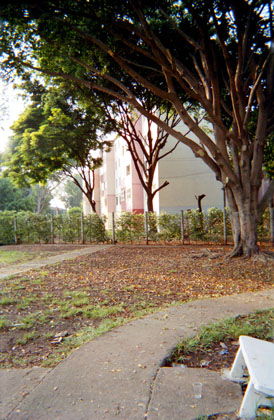 100-14.jpg