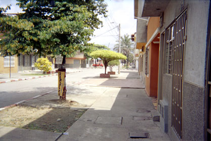 205-19.jpg